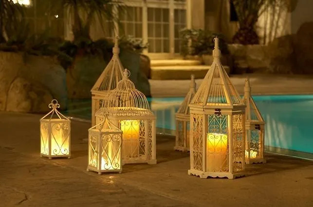 クレオパトラ ニコシア